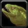 45 × Stonescale Eel