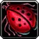 Weevil K. Neevil